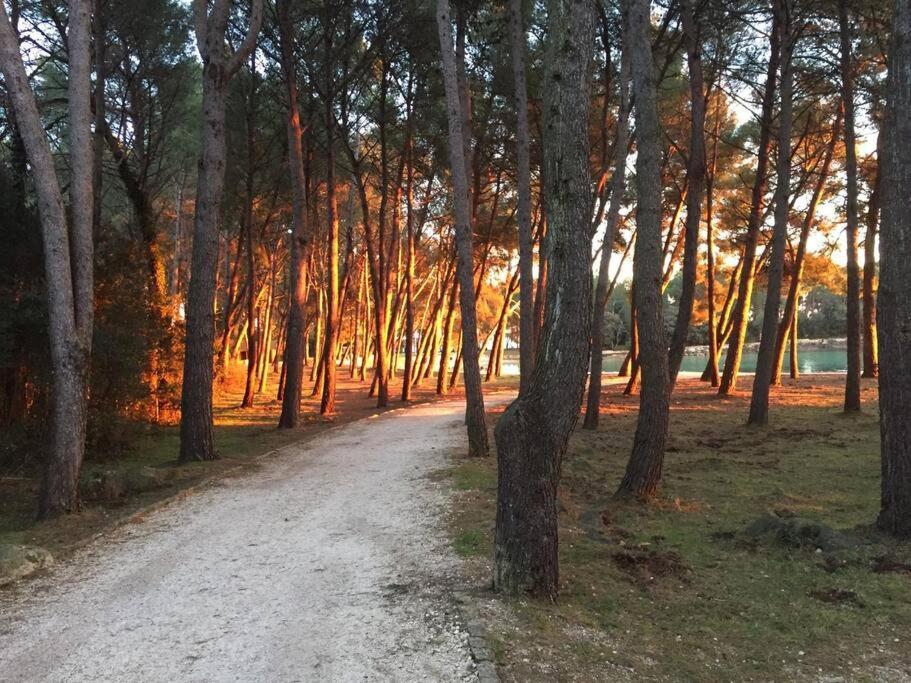 Apartment Capo D'Oro Rovinj Zewnętrze zdjęcie